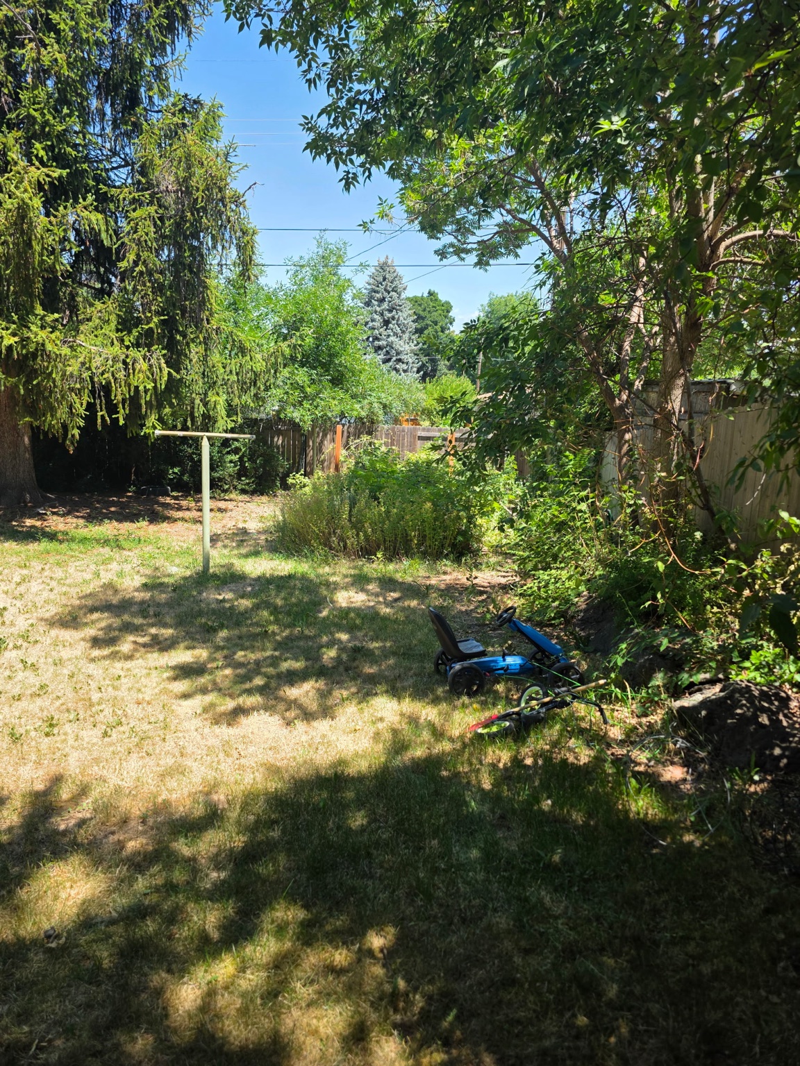 Back yard with patchy grass and overgrown planting before revitalization